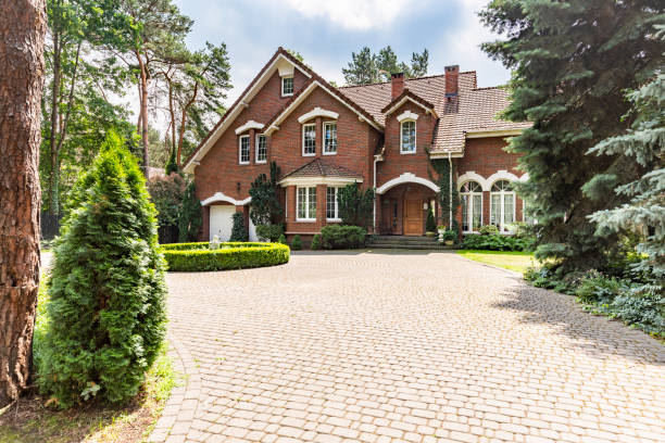 Best Local Driveway Pavers  in Ivanhoe, TX
